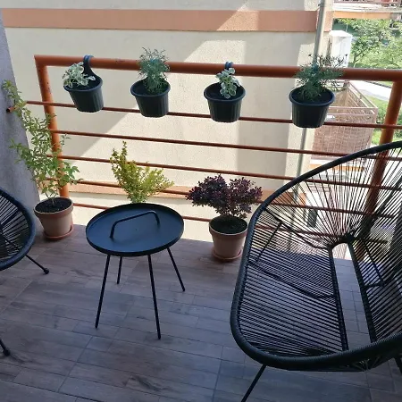 Apartment Koko *